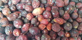 Rosehip dried (500gr)