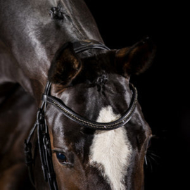 Hoofdstel Phantom Black
