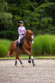 Lange Mouw Trainingsshirt Lila - Lavendelvelden