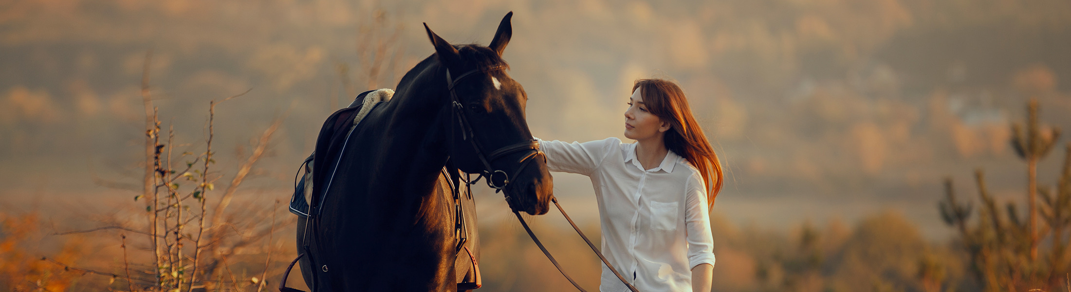 FOR HORSES