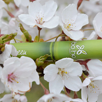 Mascara Volume Zwart -  Boho green make-up