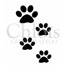 Paw Steps (5 pcs)