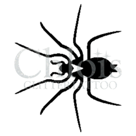 Spider Solitaire (5 pcs)
