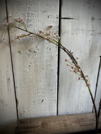 Kunst gips spray pink