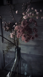 Kunst Queen Anne’s Pink