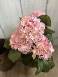 Kunstplant Hortensia rond