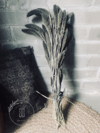 Bunch Sataria zwart