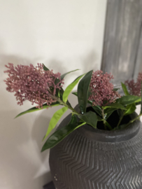 Kunst Sorghum stengel beige