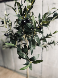 Kunst olijfboom op stam 90 cm