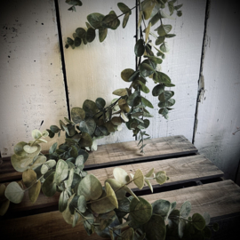Decoratieset ‘Green Wood’