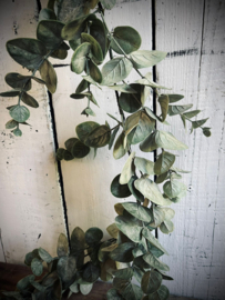 Kunst guirlande eucalyptus 2meter