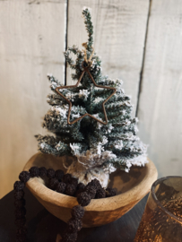Kerstboompjes 