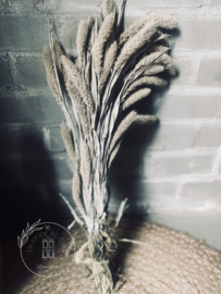 Bos Setaria naturel