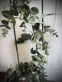 Decoratieset ‘Green Wood’