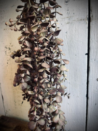 Kunsttak Eucalyptus hangend Mauve