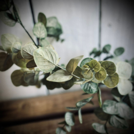 Kunst guirlande eucalyptus 2meter