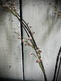 Kunst gips spray pink