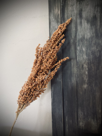 Kunst Sorghum stengel beige