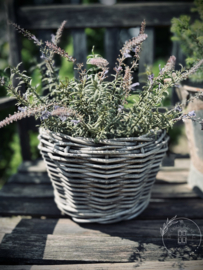 Bosje kunst lavendel naturel