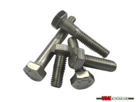 Bolt hexagon M8X100mm Stainless steel