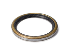 Keerring Telleraandrijving 60mm x 48mm x 5mm Puch M50 Racing