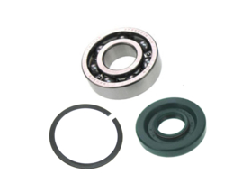 Bearing / Seal set Main Gear 3 Bearing Puch Maxi e50