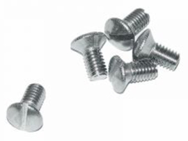 Lensbout Zaagsnede RVS M6 x 12mm DIN 964