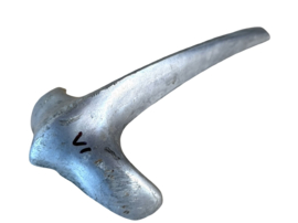 Zier Nase Kotflügel Vorne Original! Tomos 2L / 3L / Puch VS50