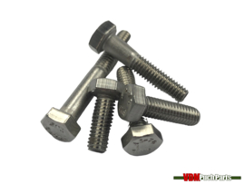 Bout zeskant M6X25mm RVS