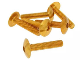 Button Head Bolt set Allen M5 x 30mm Anodized Gold 6-Delig Universal