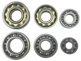 Bearing set Complete 6-Pieces Puch ZA50