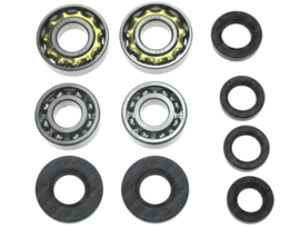 Bearing & Seal set Engine Complete 10-Pieces Puch 3 Foot Gear