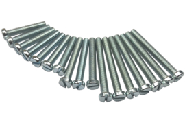 Bolt set Engine 17-Pieces Puch ZA50