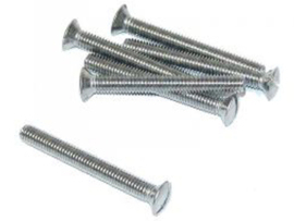 Lensbout Zaagsnede RVS M6 x 50mm DIN 964
