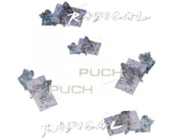 Aufkleber Satz Puch Radical