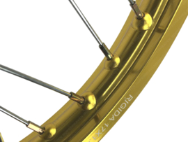 Speichenrad Satz 17 Inch 1.20 Schmal Eloxiert Gold - Poliert Rigida! Puch Maxi