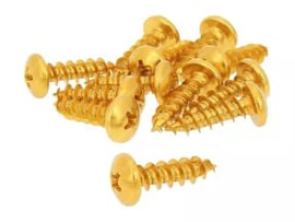 Screw set Crosshead 6mm x 20mm Anodized Gold 12-Pieces Universal