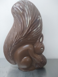 Eekhoorn groot ingekleurde chocolade
