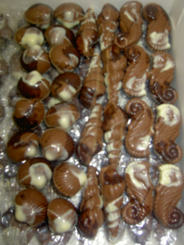 Zeevruchten in melkchocolade