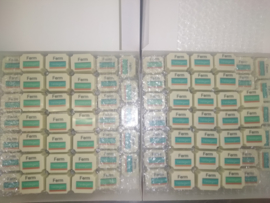 Logo Pralines