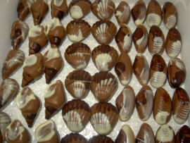 Zeevruchten in melkchocolade