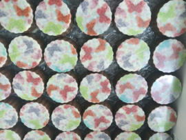 Logo Pralines