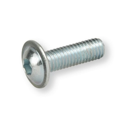 INBUSBOUT M5 X 12mm / 10 stuks