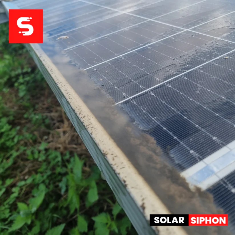 Solar Siphon™ / 100 stuks