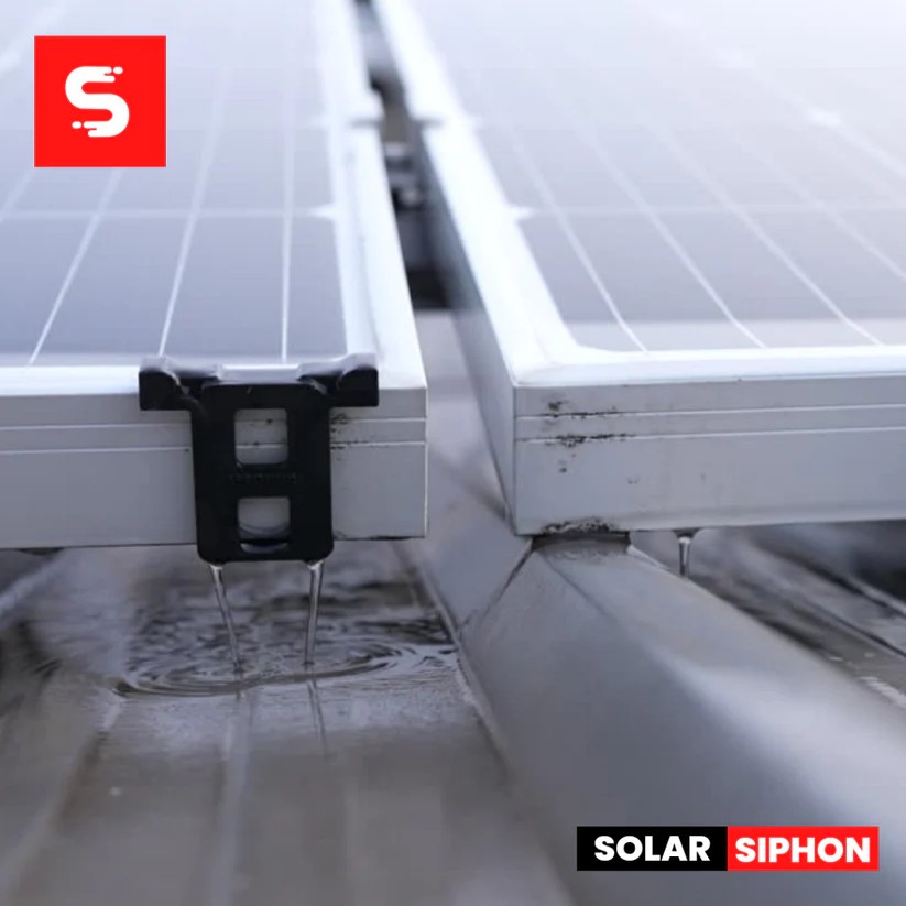 Solar Siphon™ / 100 stuks