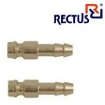 rectus