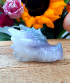 Draken schedel (Fluoriet)