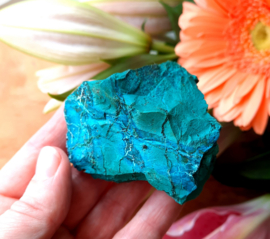 Chrysocolla ( Congo )