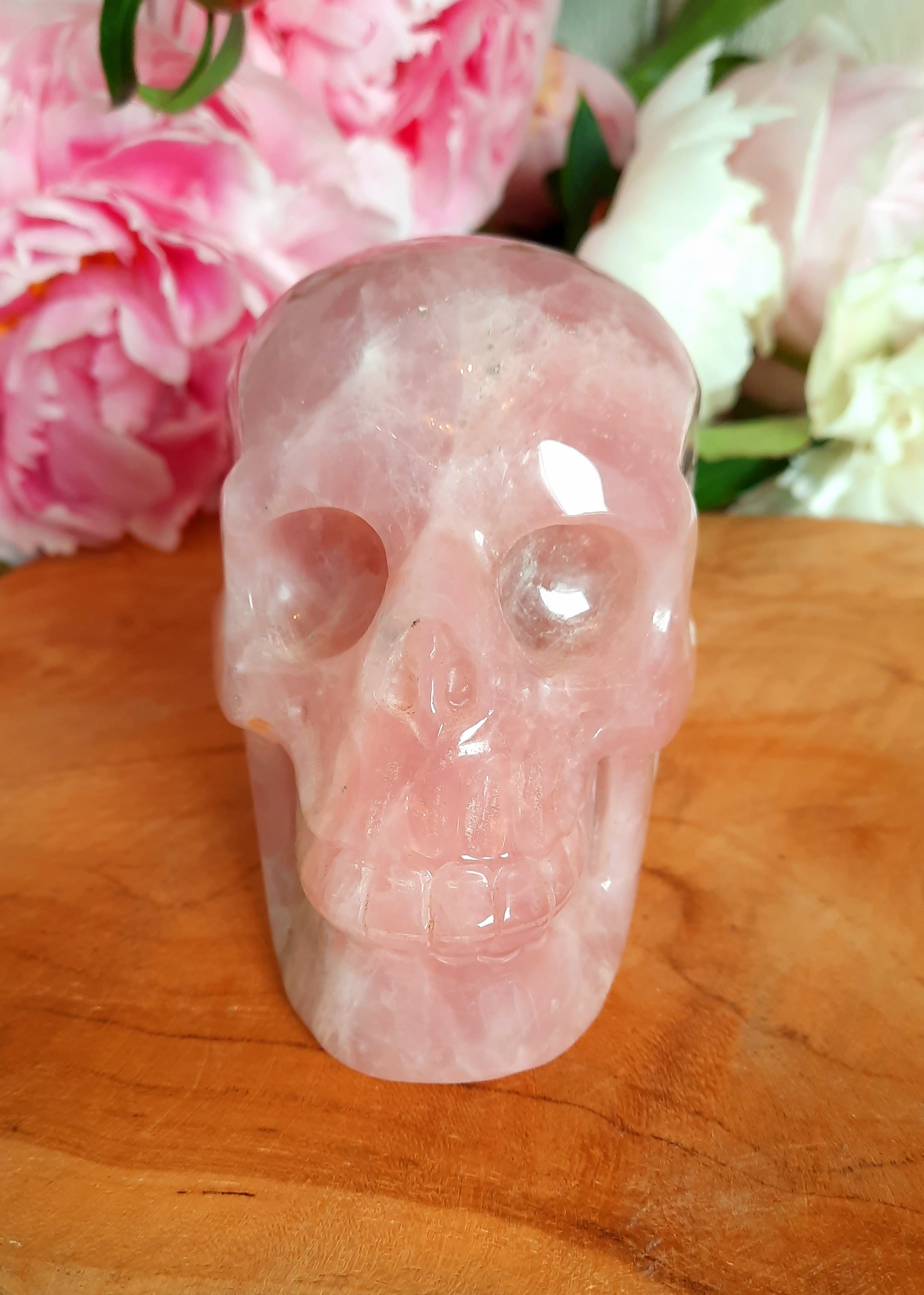 Rozenkwarts schedel/skull