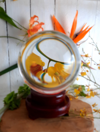 Kristalglazen Bol (15cm)